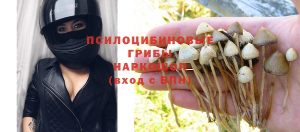 мдпв Билибино