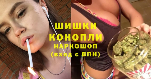шишки Абдулино