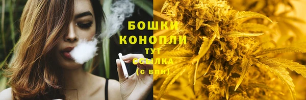 шишки Абдулино
