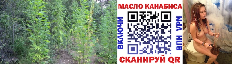 Дистиллят ТГК THC oil  Гусиноозёрск 